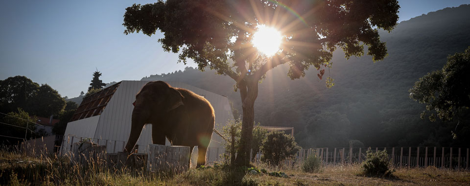 baby-et-nepal-36